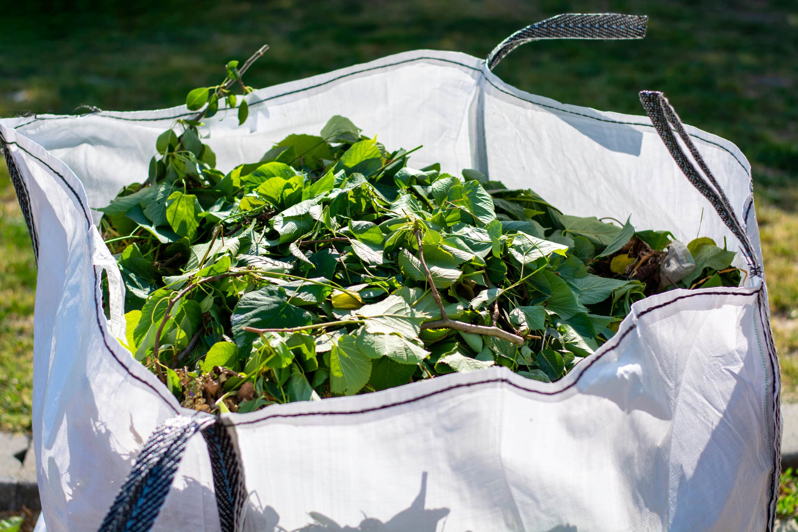 Garden Waste